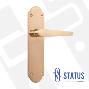 Lever Handle on BackPlate