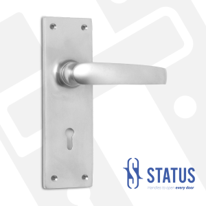 Lever Handle on Backplate