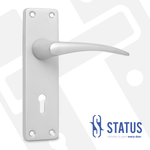 Lever Handle on Backplate