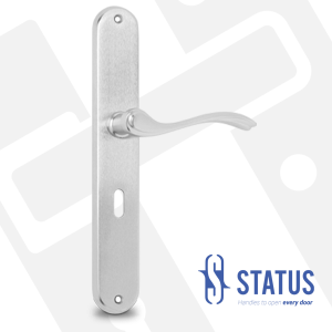 Lever Handle on Backplate