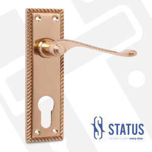 Lever Handle on Backplate