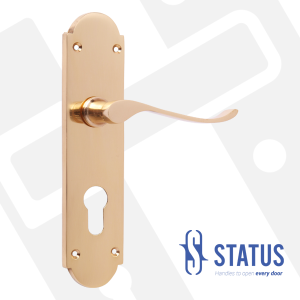 Lever Handle on Backplate