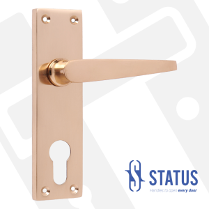 Lever Handle on Backplate