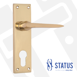 Lever Handle on Backplate