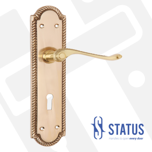 Lever Handle on Backplate