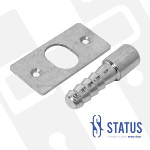 Hinge Bolt